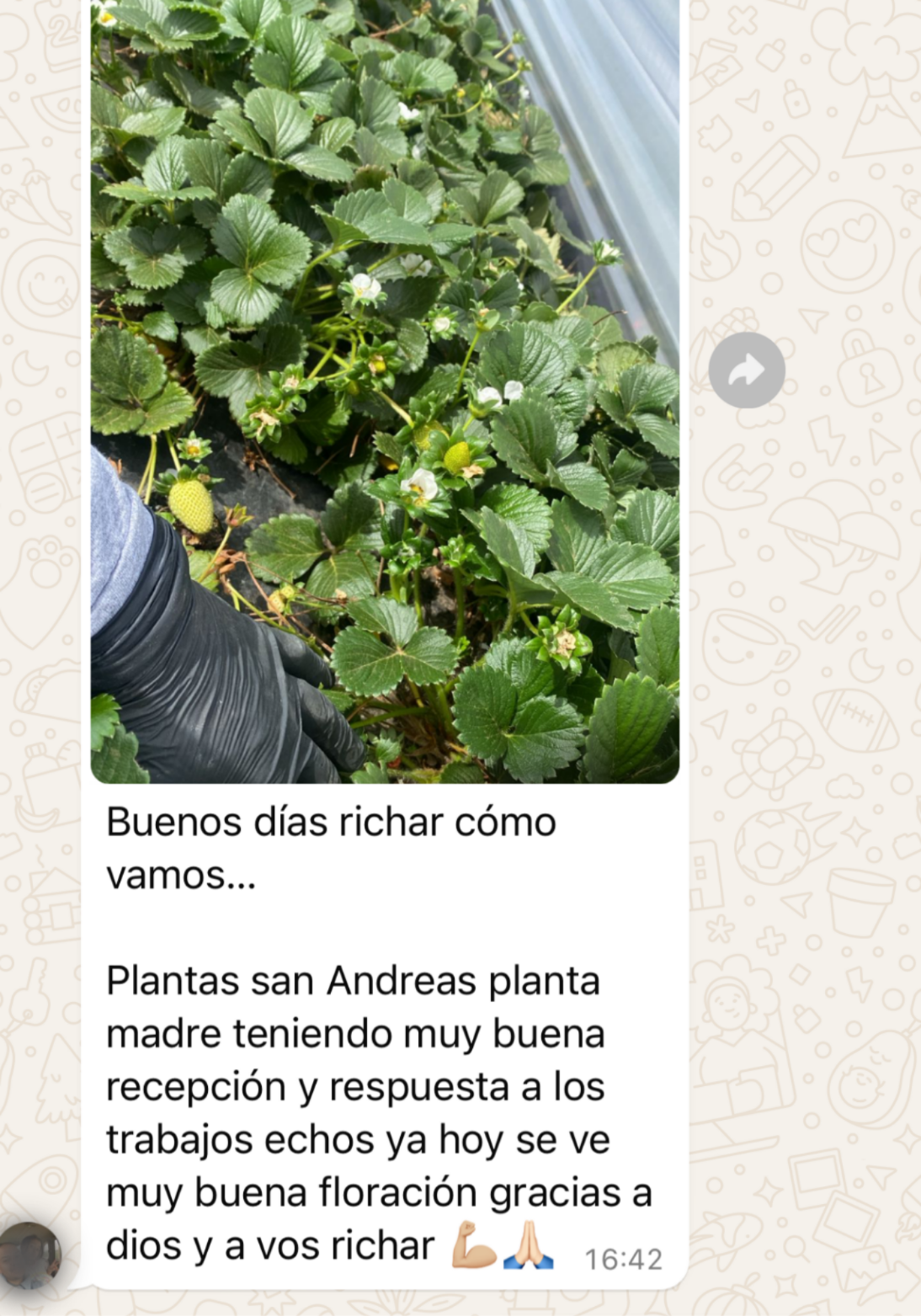 Testimonio Costa Rica