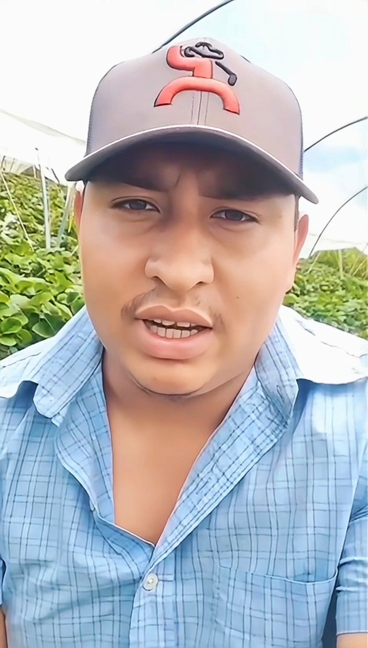 Testimonio de Miguel