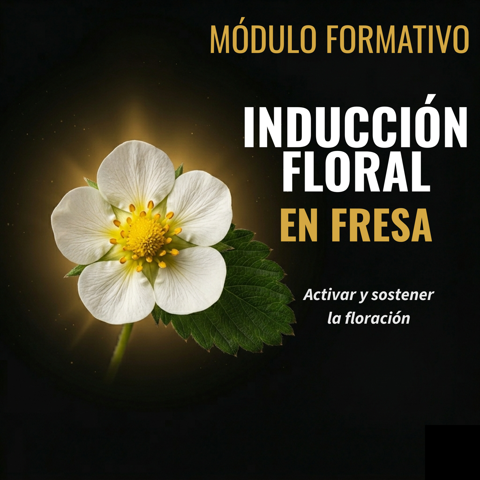 Inducción Floral en Fresa