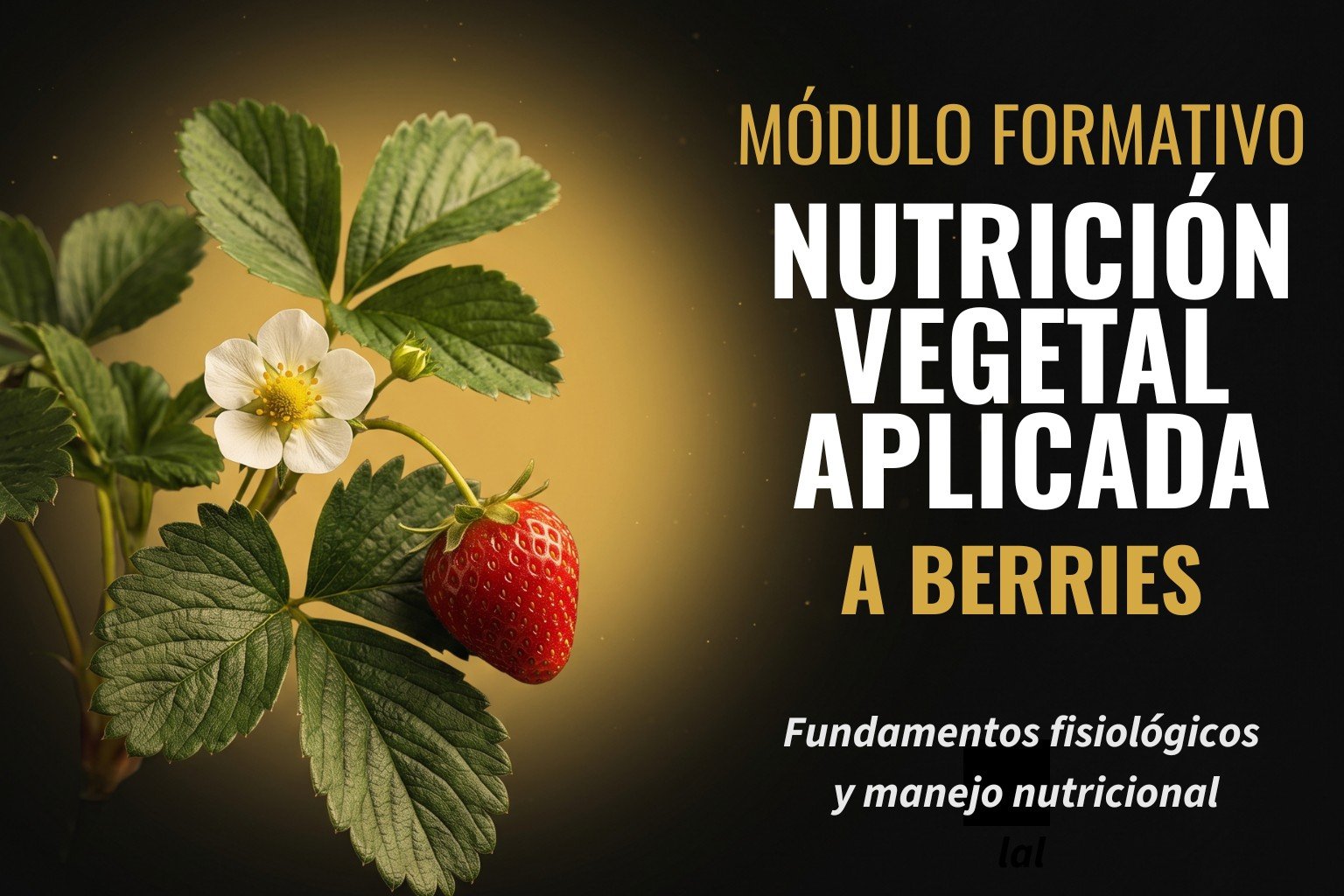 Nutrición Vegetal Aplicada a Berries