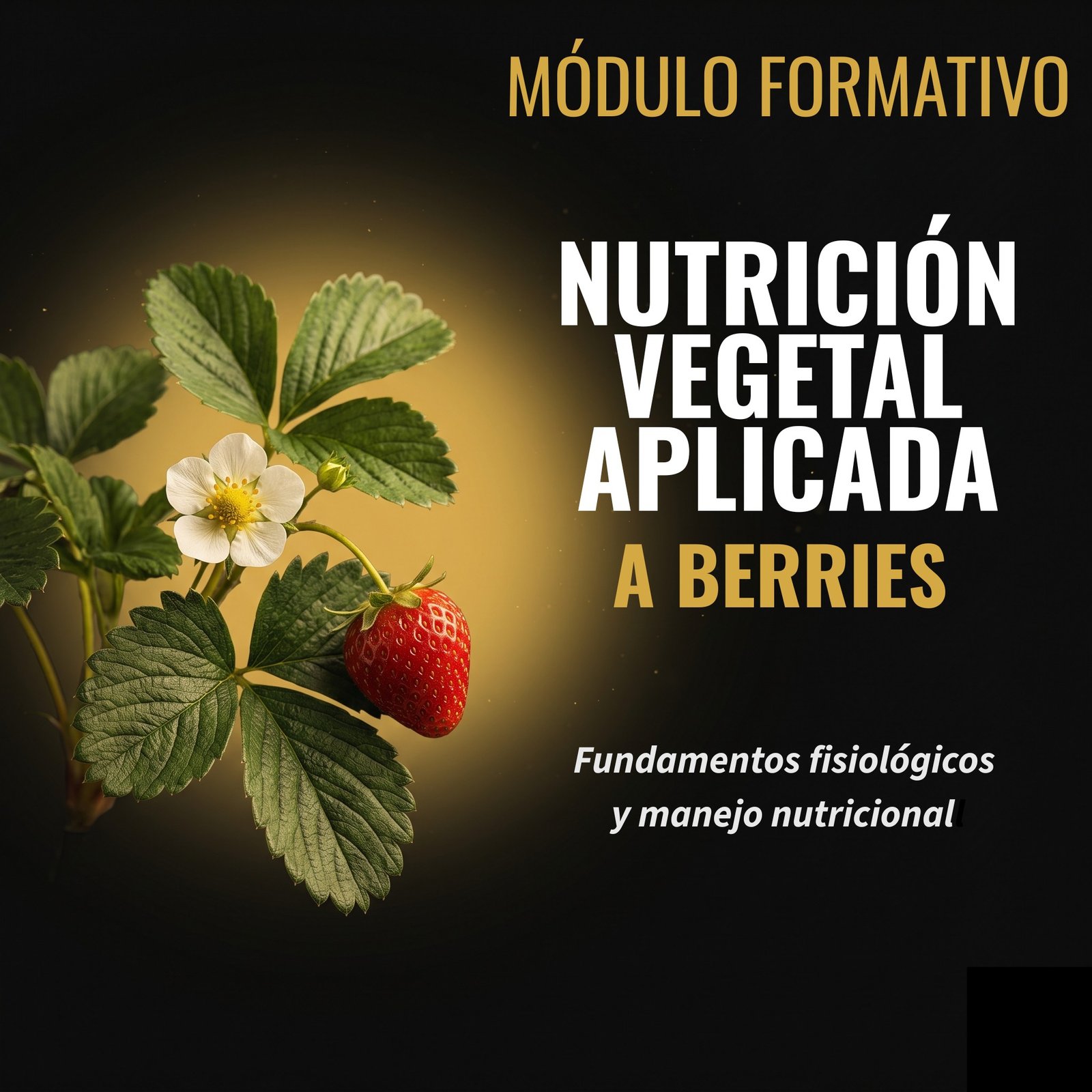 Nutrición Vegetal Aplicada a Berries
