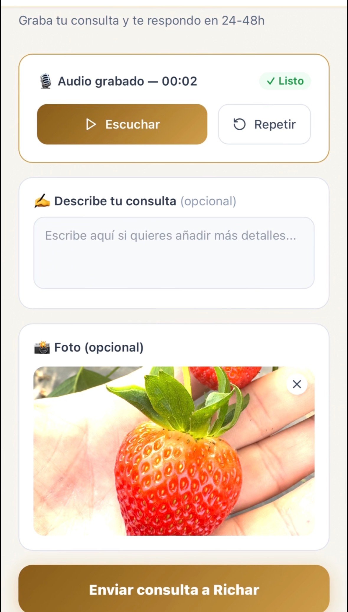 Consulta directa con Richar