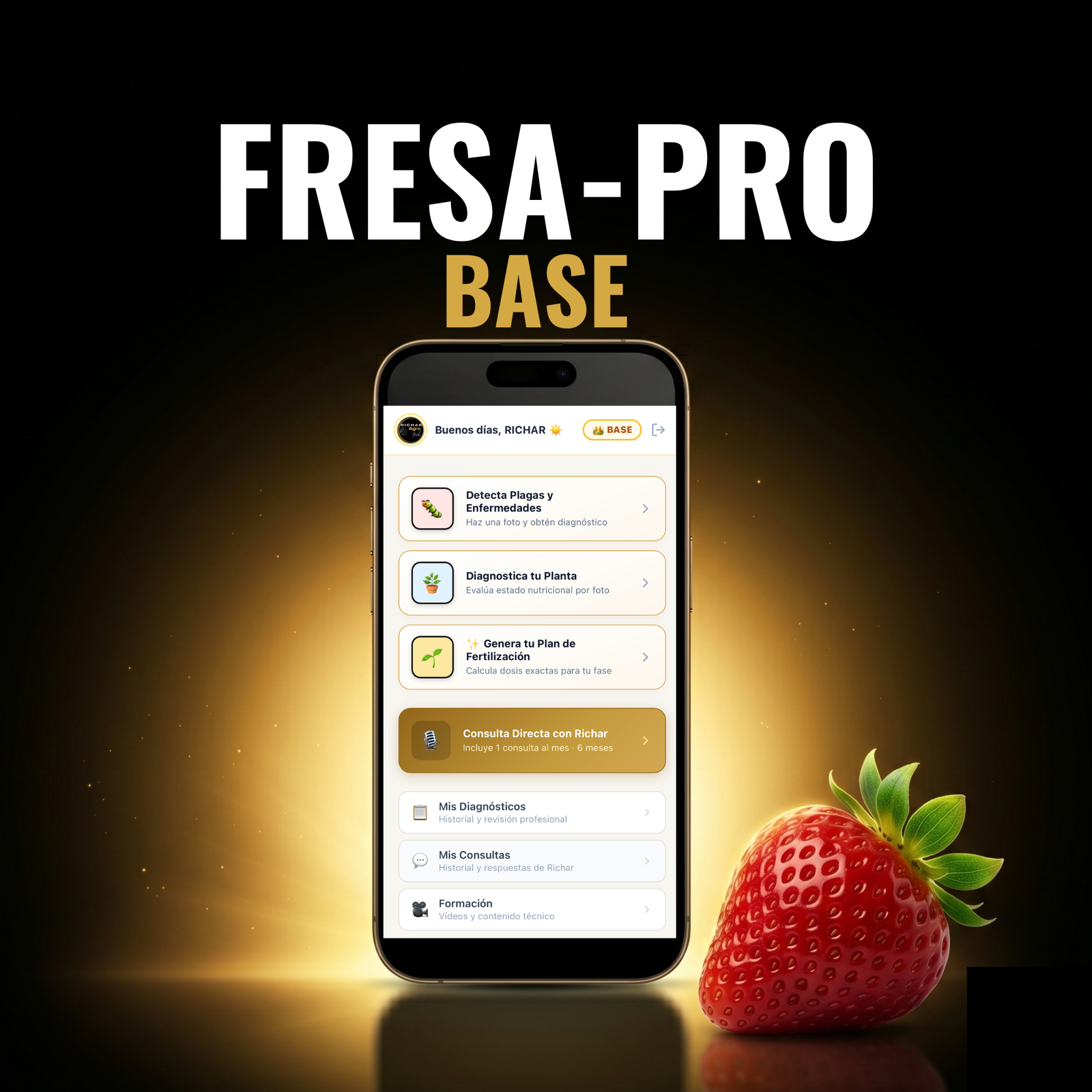 Fresa Pro Base