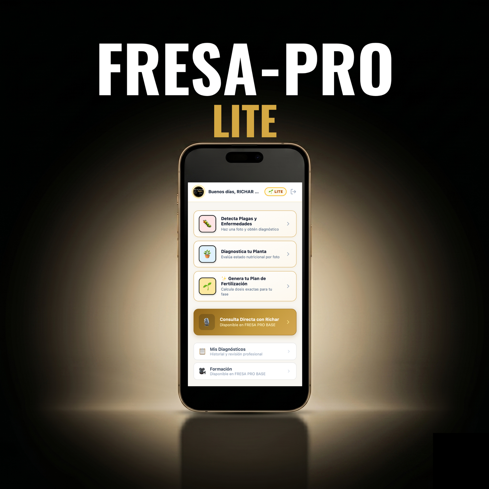 Fresa Pro LITE
