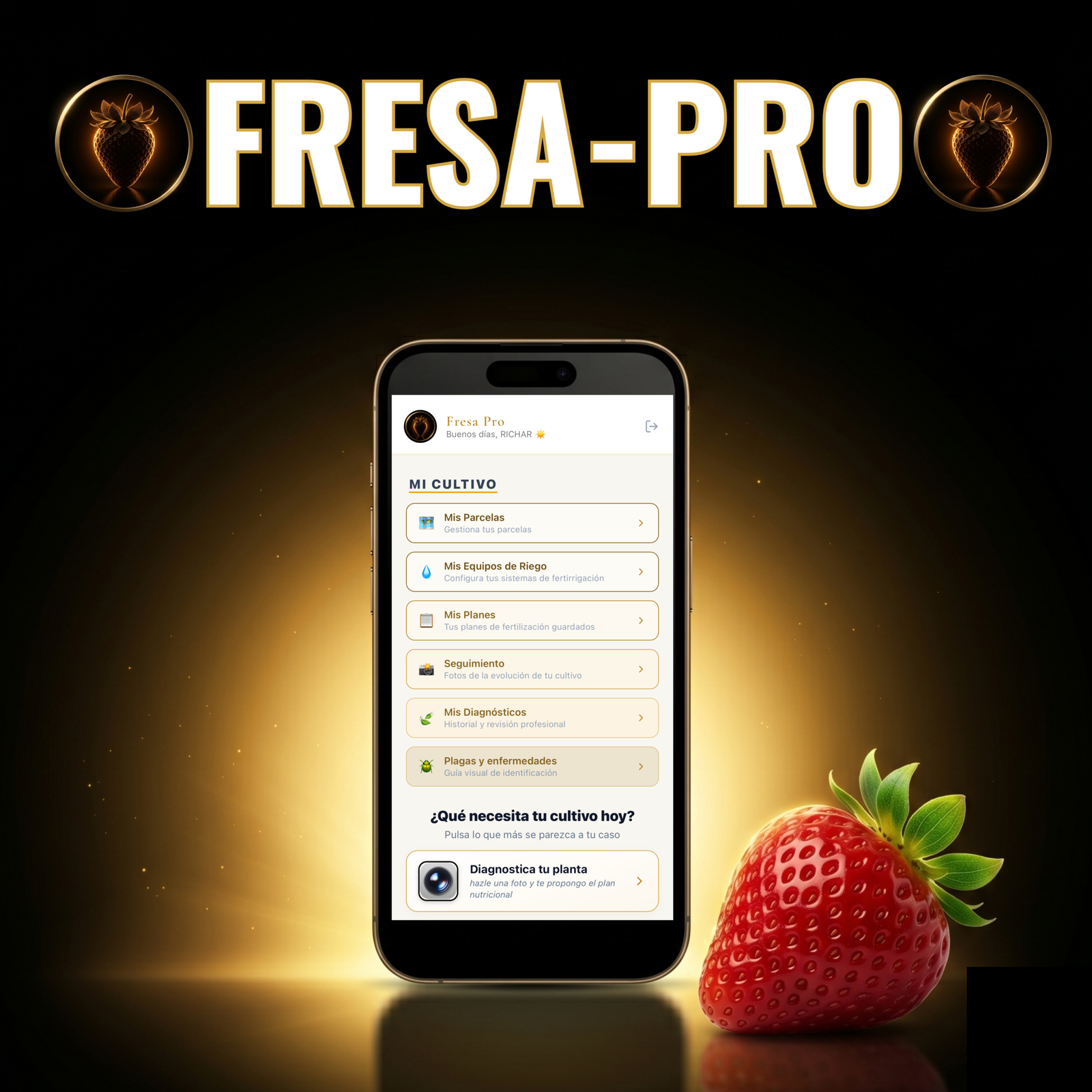 Fresa Pro